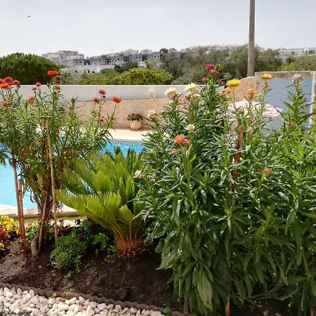 Atlantico Apartment *